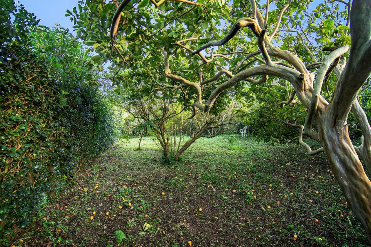 Casa com Quinta Tradicional Villa Pico da Pedra Esterno foto